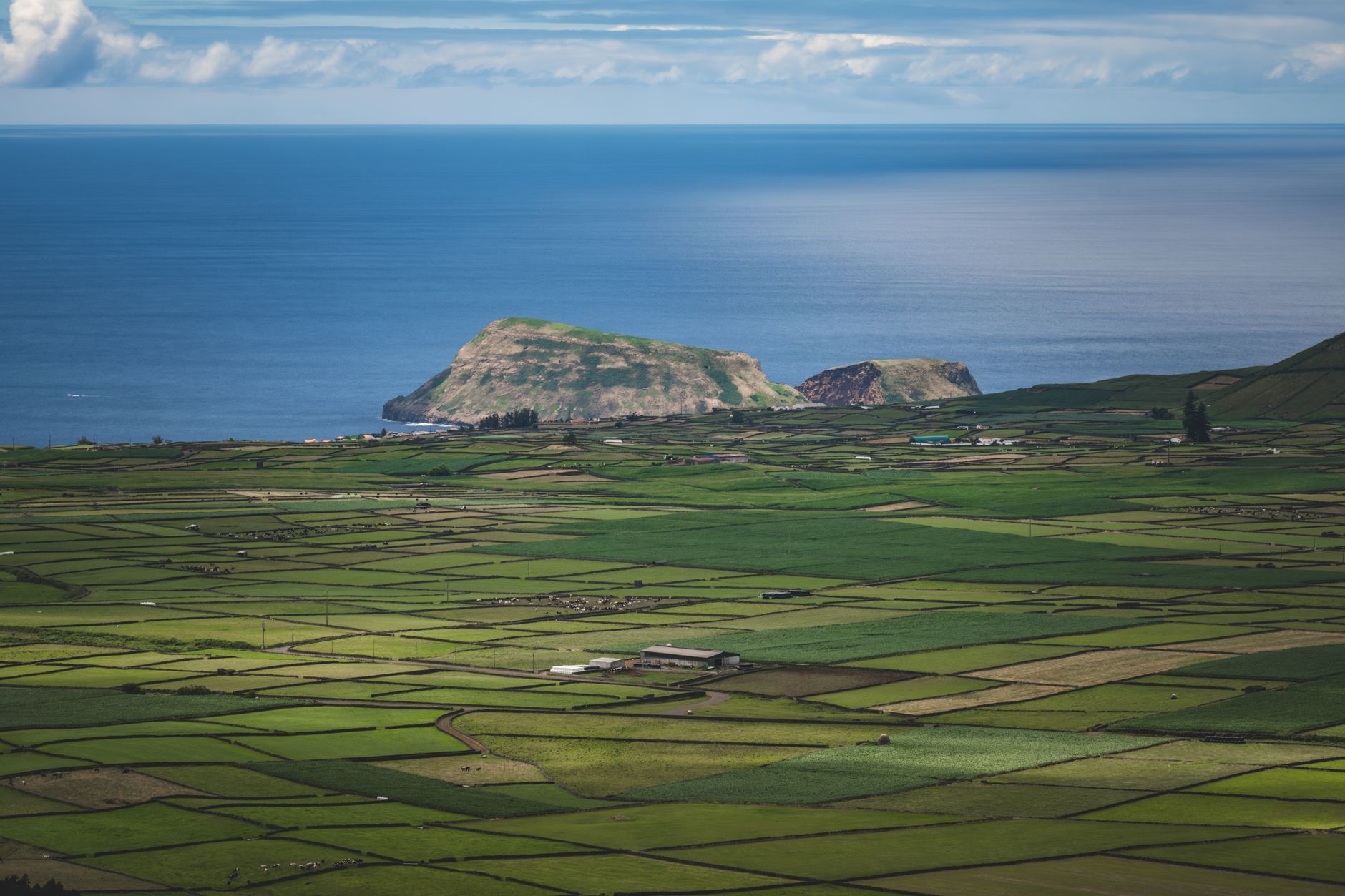 Paysage côtier de l'île de Faial aux Açores