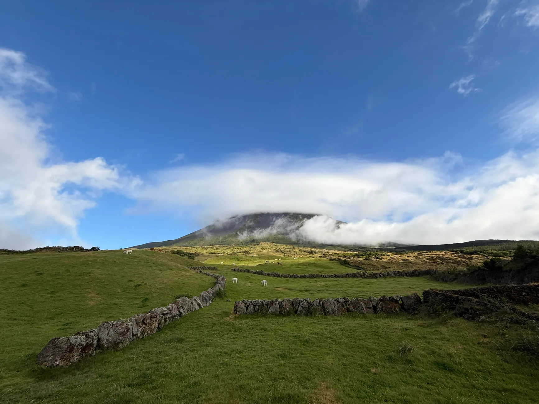 Ferry Horta–Madalena : réussir l’excursion de Faial à Pico